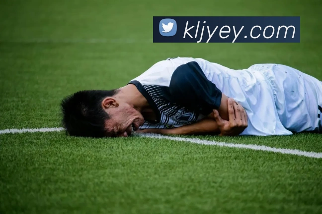 博亚体育APP 封面图